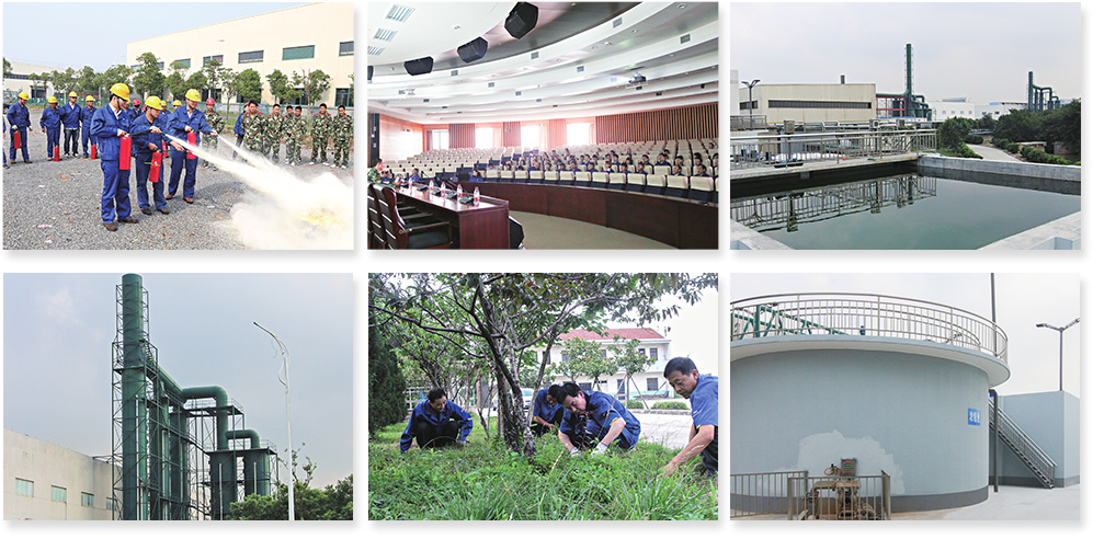 beat365正版(中国)-唯一官方网站