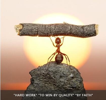 beat365正版(中国)-唯一官方网站